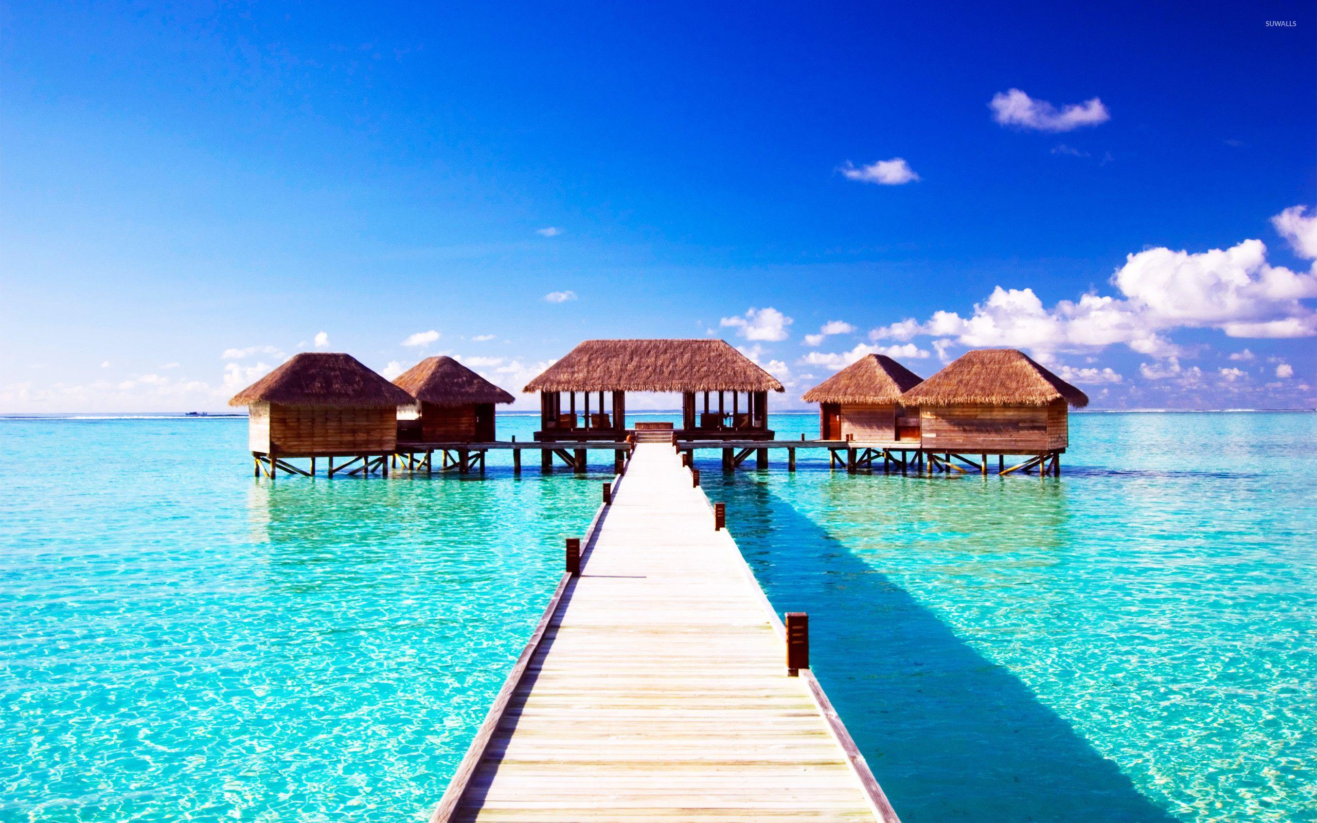 Maldives Bliss